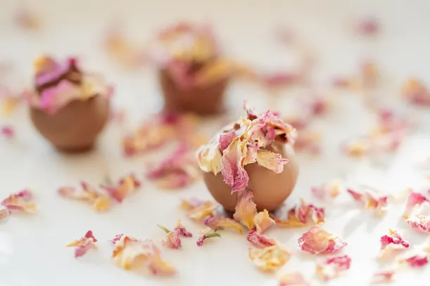 ΛότοΚινγκς Καζίνο Εφαρμογή Android/iOS